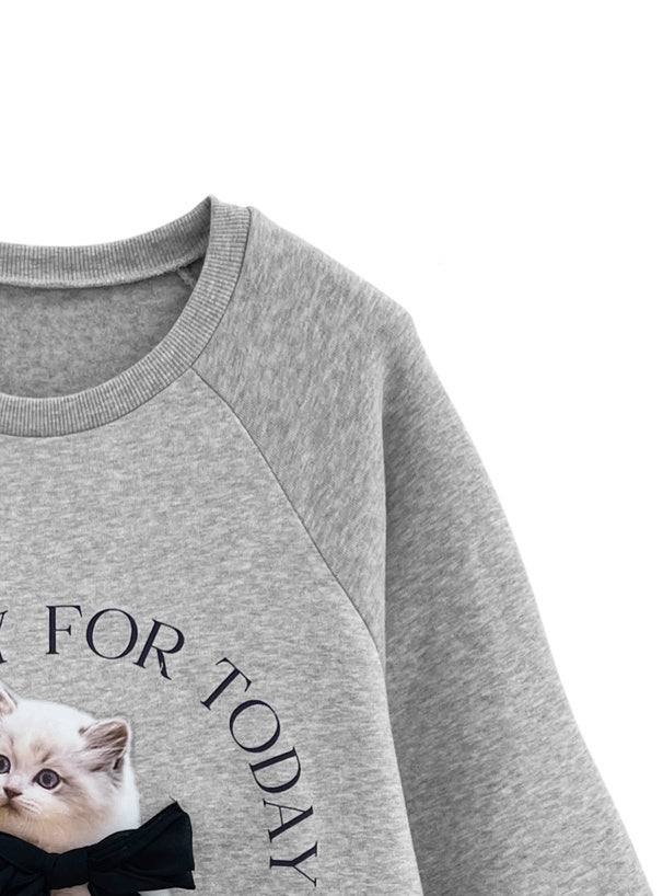 三色入 | 喵喵喵衛衣